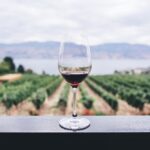 Jídlo a kvalitní víno